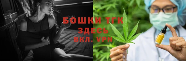 молекула духа Заводоуковск