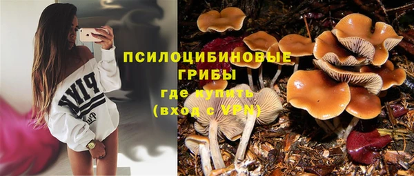 первитин Елабуга