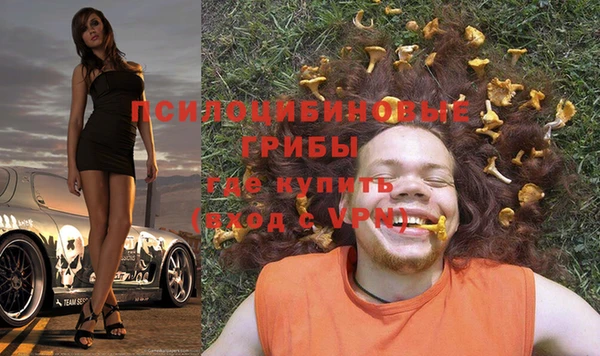 кристаллы Ельня