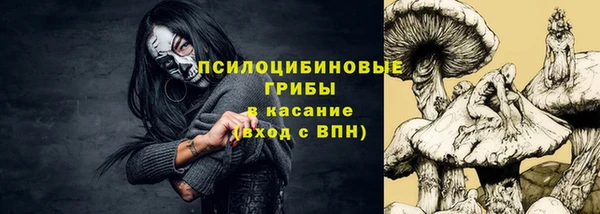 молекула духа Заводоуковск