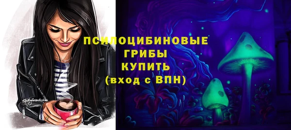 молекула духа Заводоуковск