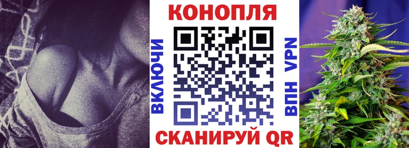 Каннабис сатива как найти наркотики Сычёвка